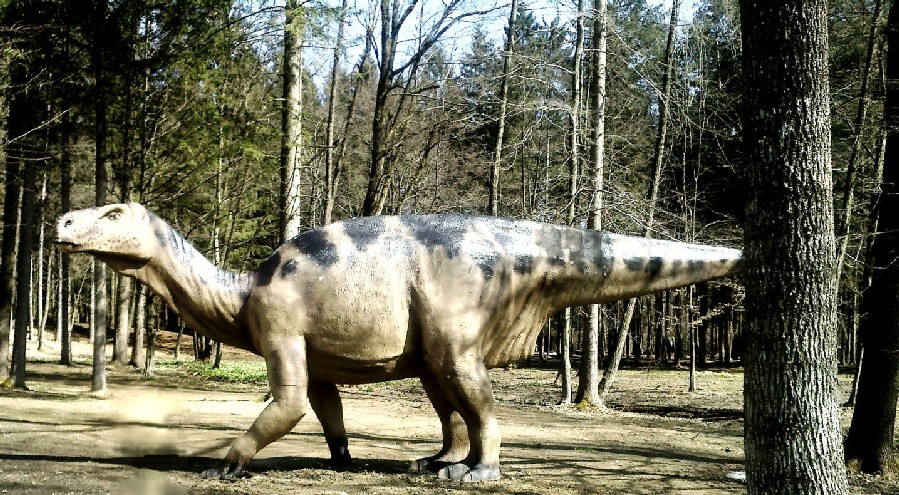 Siamodon, Cretaceous
(Меловой период)