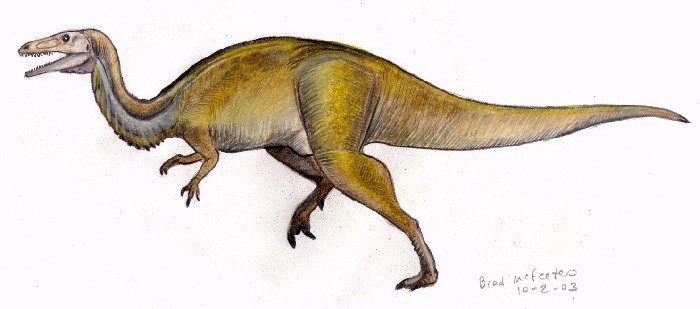 Sigilmassasaurus
(возм: сиджильмасазавр), Cretaceous
(Меловой период)