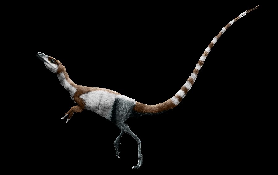Sinosauropteryx