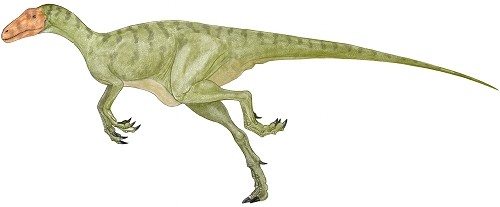 Staurikosaurus