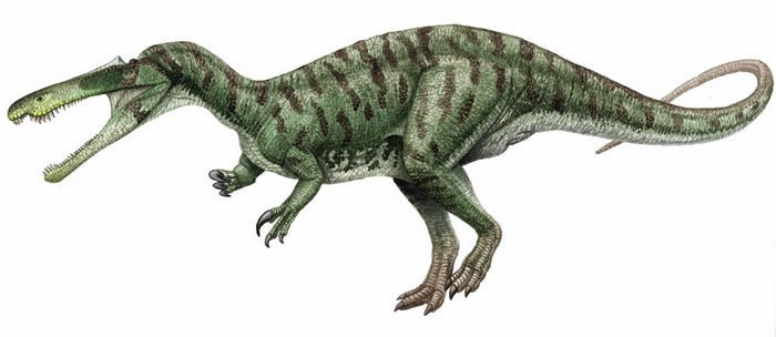 Suchomimus
(Зухомим), Cretaceous
(Меловой период)