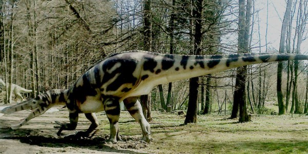 Suchosaurus