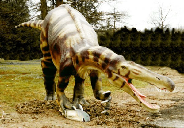 Suchosaurus
