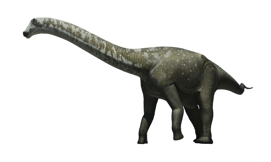 Tapuiasaurus