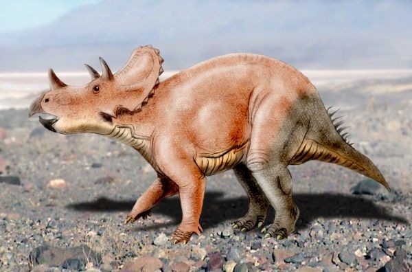 Tatankaceratops
(Татанкацератопс), Cretaceous
(Меловой период)