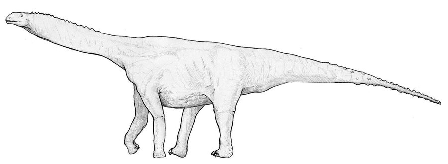 Tazoudasaurus