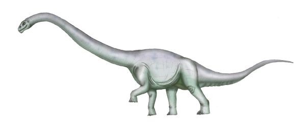 Tehuelchesaurus, Jurassic
(Юрский период)