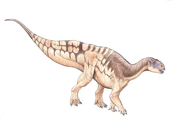 Tenontosaurus