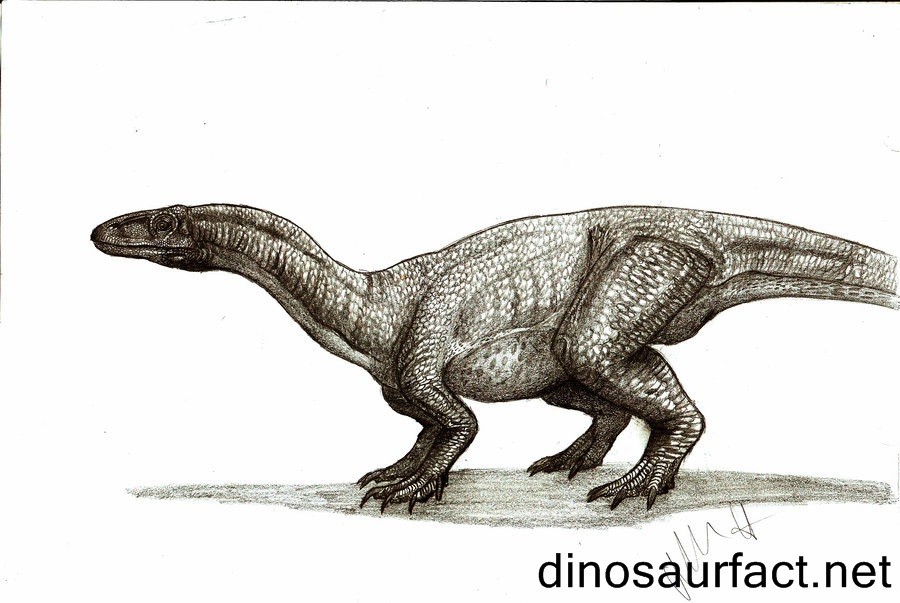 Thecodontosaurus