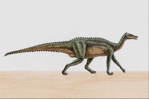 Thescelosaurus