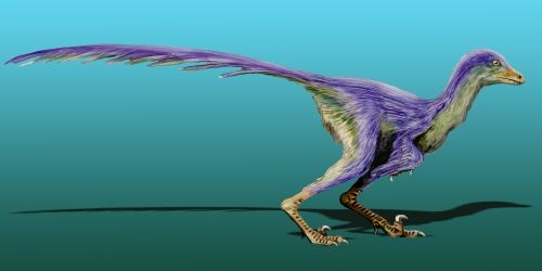 Tianyuraptor, Cretaceous
(Меловой период)