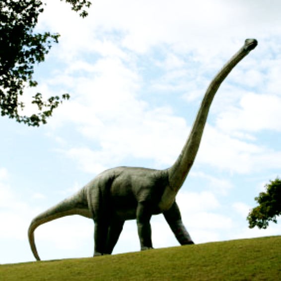 Tonganosaurus, Jurassic
(Юрский период)