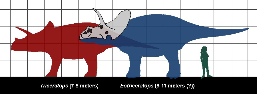 Eotriceratops
(Эотрицератопс), Cretaceous
(Меловой период)