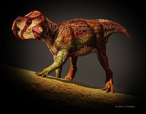 Unescoceratops