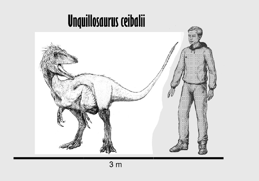 Unquillosaurus, Cretaceous
(Меловой период)
