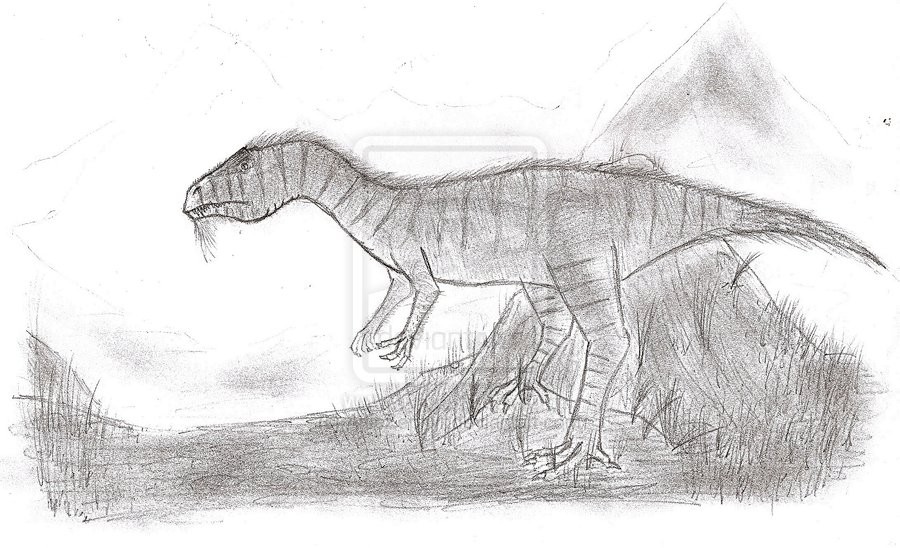 Velocisaurus