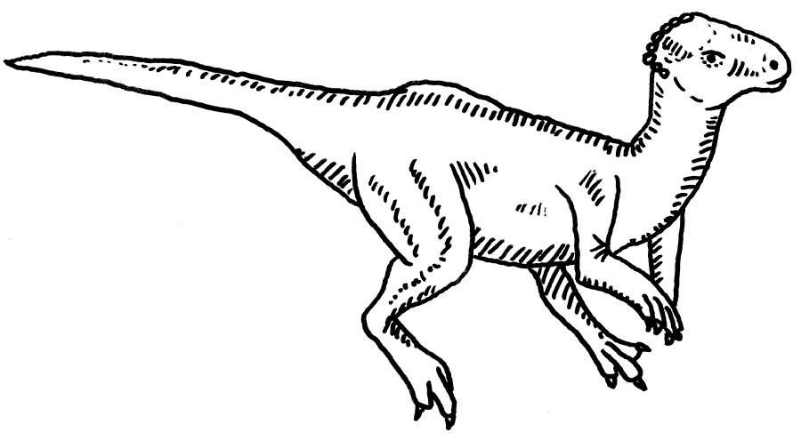 Wannanosaurus