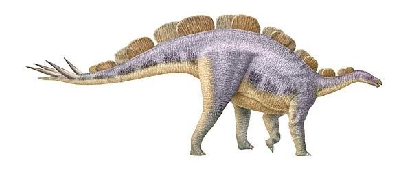 Wuerhosaurus
(Вуерозавр), Cretaceous
(Меловой период)
