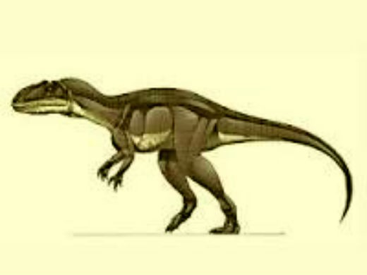 Xuanhanosaurus