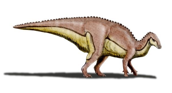 Xuwulong, Cretaceous
(Меловой период)