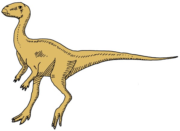 Yandusaurus, Jurassic
(Юрский период)