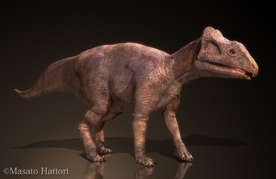 Yinlong Pictures Facts The Dinosaur Database
