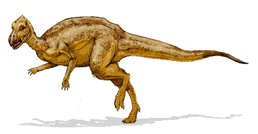 Zalmoxes
(Залмоксес), Cretaceous
(Меловой период)