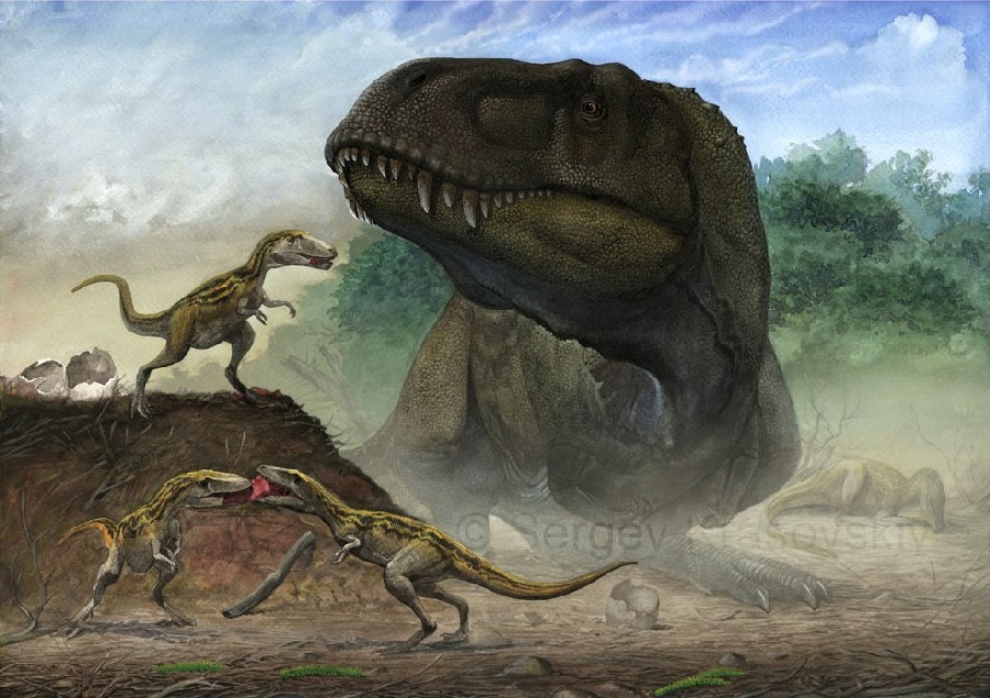 Zhuchengtyrannus
(Чжучэнтираннус), Cretaceous
(Меловой период)