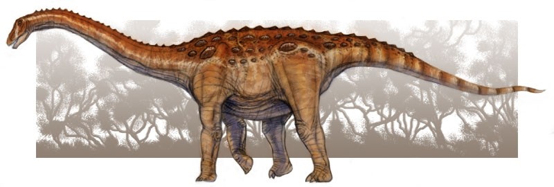 Aegyptosaurus, Cretaceous
(Меловой период)