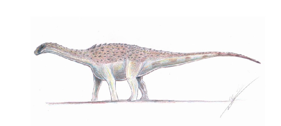 Ampelosaurus