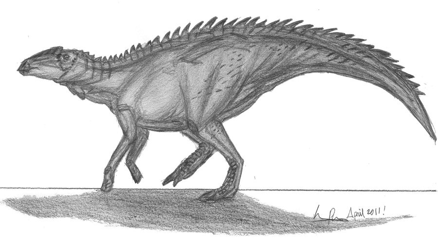 Anasazisaurus, Cretaceous
(Меловой период)