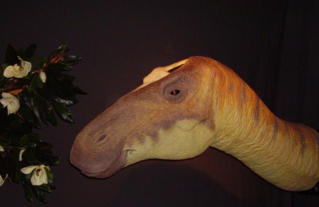 Anatotitan