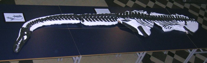 Attenborosaurus