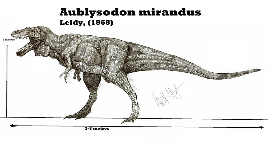 Aublysodon