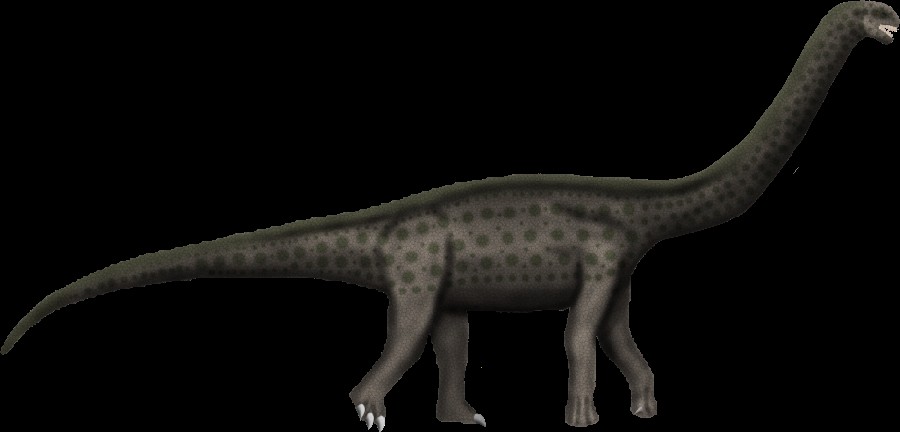 Austrosaurus