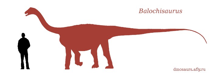Balochisaurus