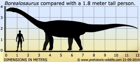 Borealosaurus