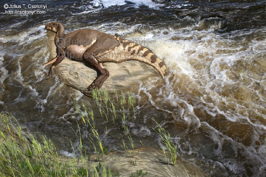 Brachylophosaurus