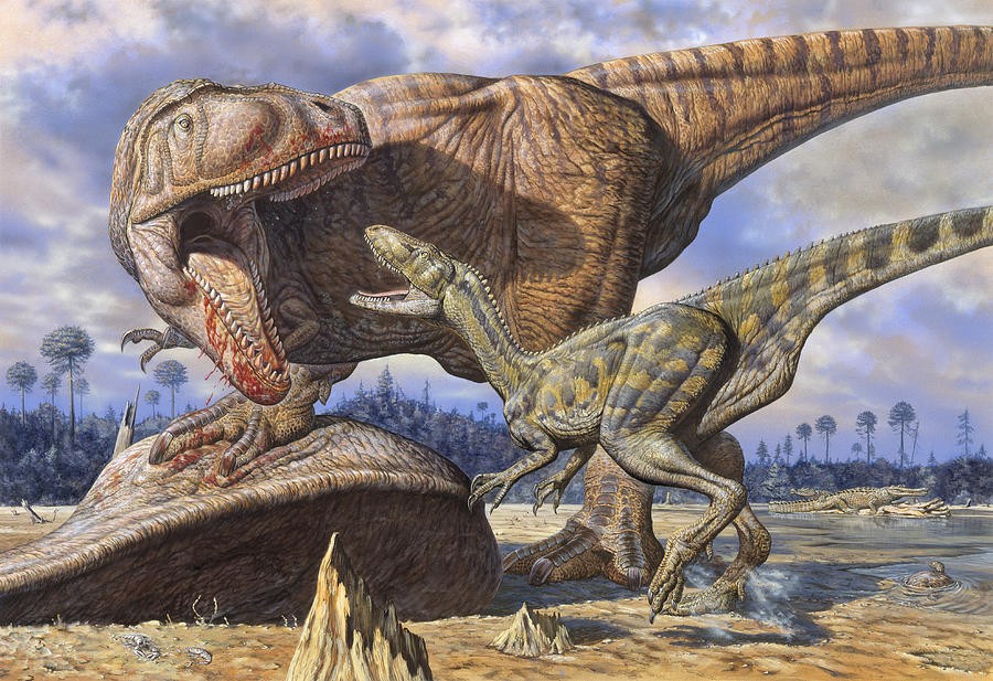 Carcharodontosaurus Pictures & Facts - The Dinosaur Database