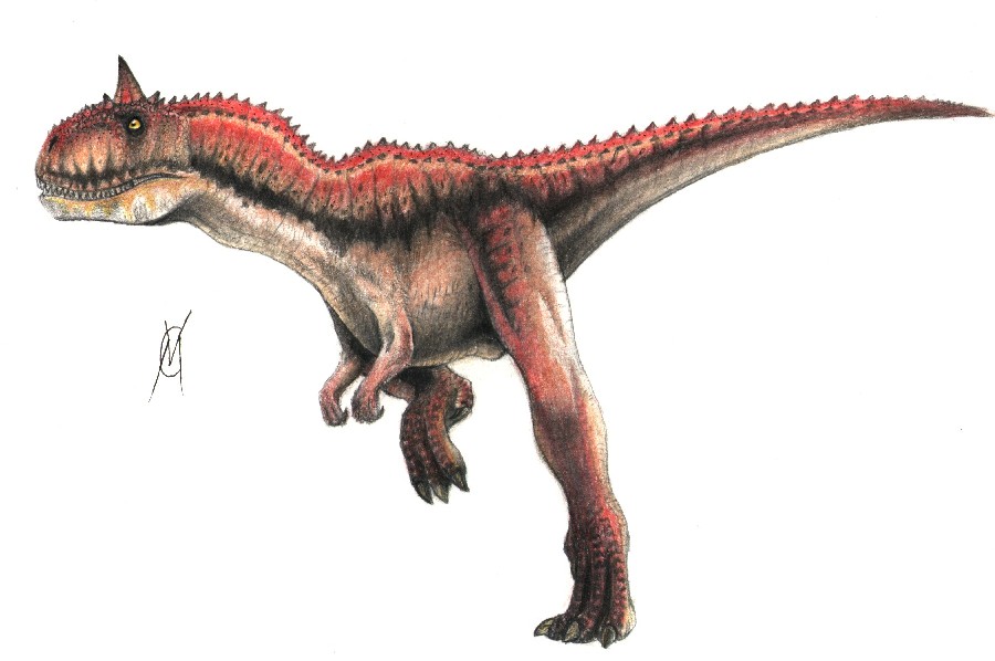 16 cm Jolly Dinos Dinosaurier CARNOTAURUS ca 