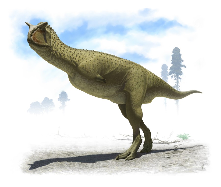 Carnotaurus
(Карнотавр), Cretaceous
(Меловой период)