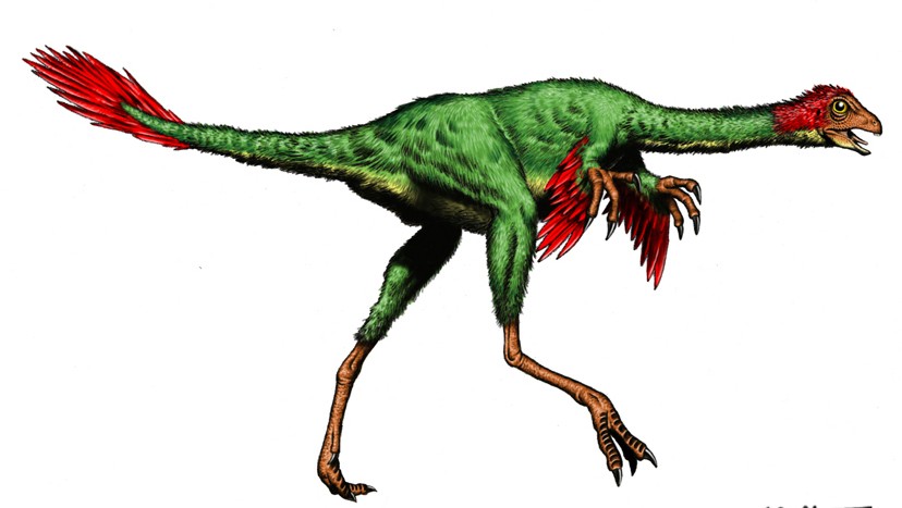 Caudipteryx
(Каудиптерикс), Cretaceous
(Меловой период)