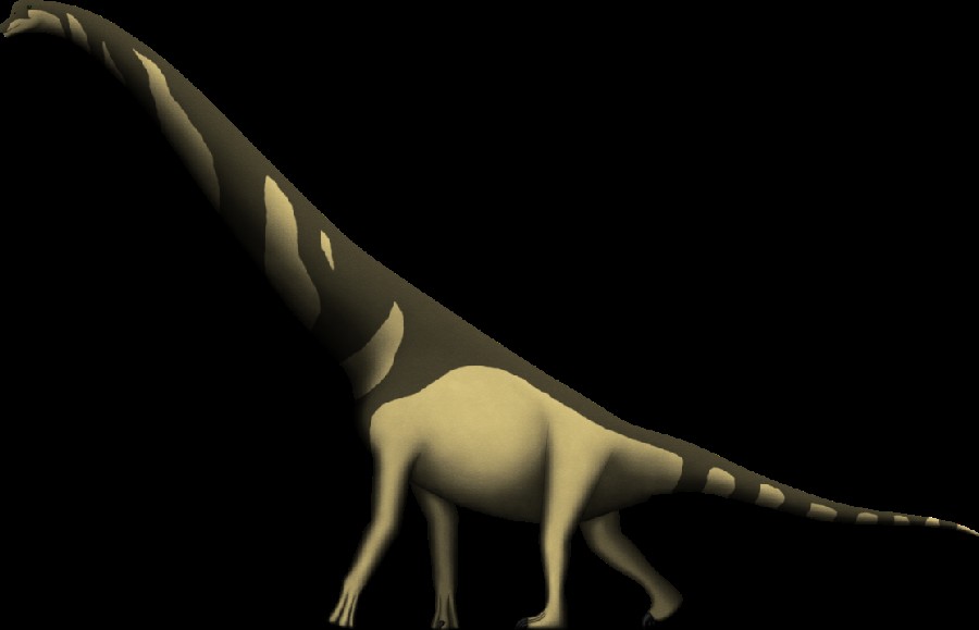 Cedarosaurus