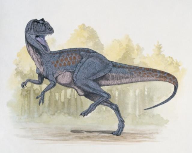 Chilantaisaurus