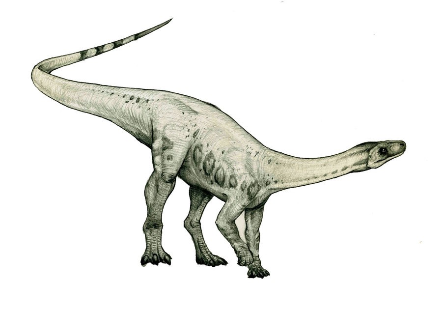 Chromogisaurus