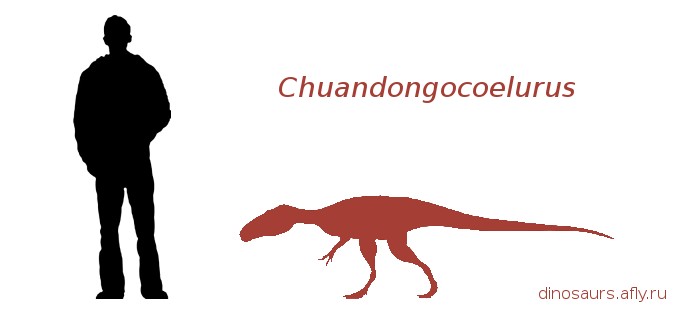 Chuandongocoelurus