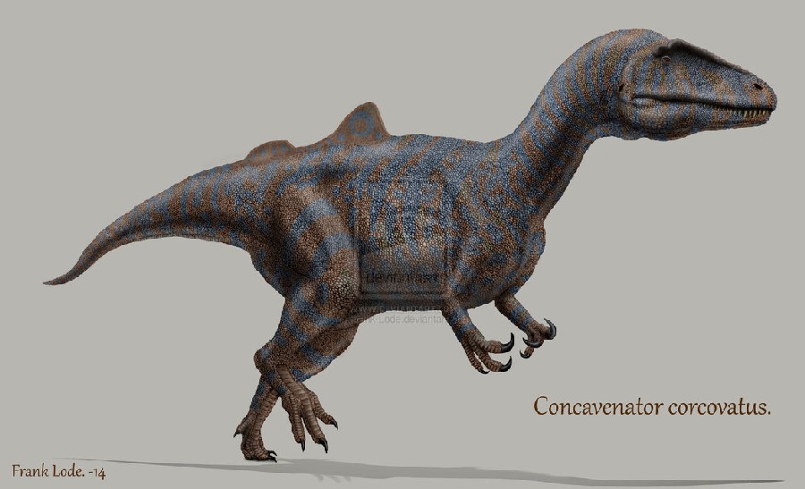 The Papo Concavenator Dinosaur Model Photographed