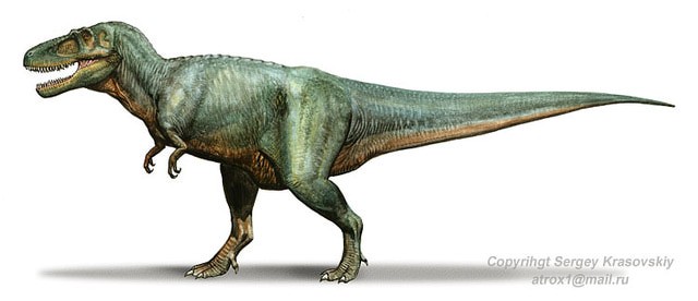 Daspletosaurus