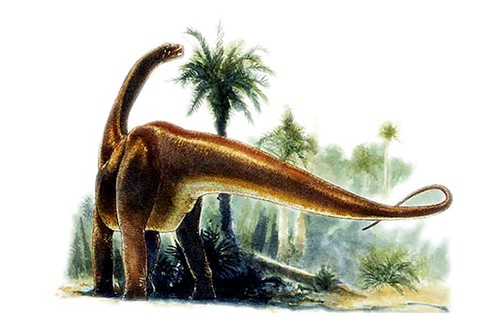 Datousaurus, Jurassic
(Юрский период)