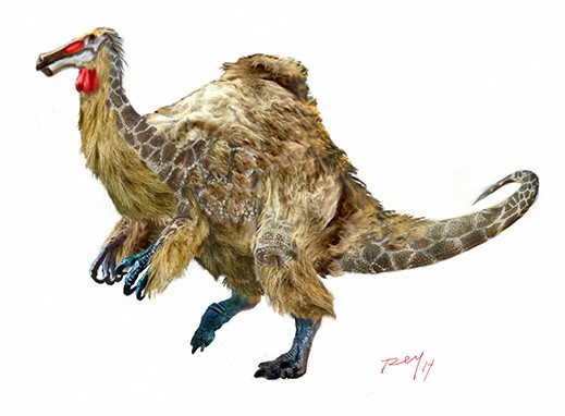 Deinocheirus Pictures & Facts - The Dinosaur Database